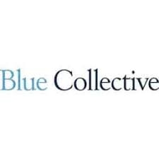 Venture Capital & Angel Investors Blue Collective in Dumbo NY