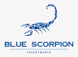 Blue Scorpion Investments