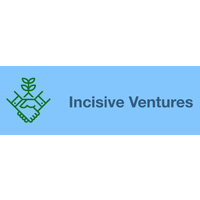 Incisive Ventures